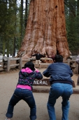 Touristen am General Sherman Sequoia