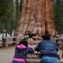 Touristen am General Sherman Sequoia Touristen am General Sherman Sequoia