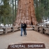 General Sherman Sequoia NP General Sherman Sequoia NP