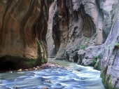 Narrows Zion National Park
