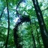 Skulptur in der Schlucht