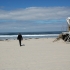 San Diego Ocean Front Walk San Diego Ocean Front Walk