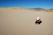 hot in the desert