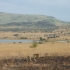 Pilanisberg Nationalpark