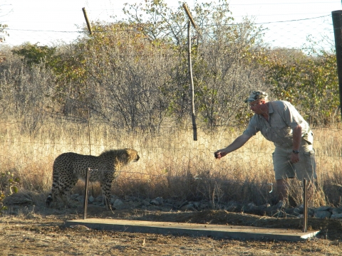 Etosha National Park - www.sophienhof-lodge.com Etosha National Park - www.sophienhof-lodge.com