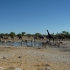 Kalkhoevel Wasserloch