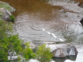 Parque Ting&uuml;i