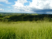 Parana