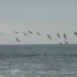 Isla Negra / Chile