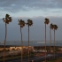 Palmen-Promenade