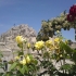 Matera 