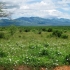 Traumhafte Landschaften im Tsavo