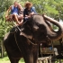Wir auf dem Elefant Wir auf dem Elefant