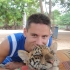 Schmusetiger Schmusetiger