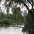 Central Park Central Park