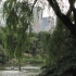 Central Park Central Park
