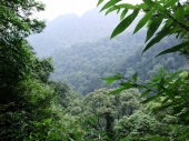 Qingcheng Shan