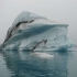 Jökulsarlon Jökulsarlon