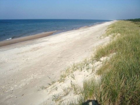Kurische Nehrung - Strand bei Juodkrante Kurische Nehrung - Strand bei Juodkrante