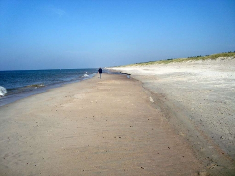Kurische Nehrung - Strand bei Juodkrante Kurische Nehrung - Strand bei Juodkrante