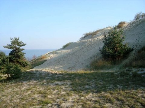 Kurische Nehrung - die Parnidder Düne Kurische Nehrung - die Parnidder Düne