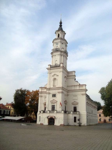 Kaunas - Weißer Schwan Kaunas - Weißer Schwan