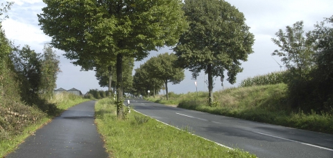 Niederrhein Niederrhein