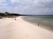 Binz