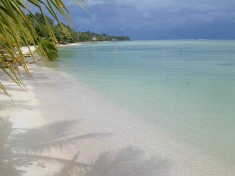 Bocas del Torro
