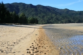 Marahau Beach