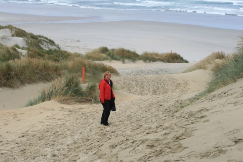 Otago Peninsula - In die Sandfly-Bucht Otago Peninsula - In die Sandfly-Bucht