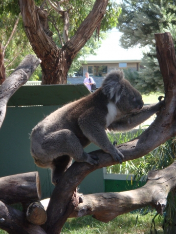 Frankston
