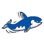 Whale Watching