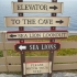 Sea Lion Cave
