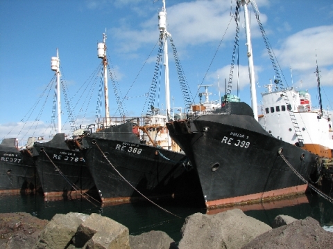Reykjavík - Walfangflotte Reykjavík - Walfangflotte