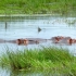 Greater St. Lucia Wetlands Park Greater St. Lucia Wetlands Park
