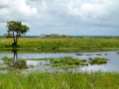 Greater St. Lucia Wetlands Park