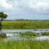 Greater St. Lucia Wetlands Park Greater St. Lucia Wetlands Park