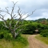 Greater St. Lucia Wetlands Park Greater St. Lucia Wetlands Park