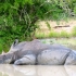 Hluhluwe Game Reserve Hluhluwe Game Reserve