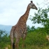 Hluhluwe Game Reserve Hluhluwe Game Reserve