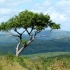 Hluhluwe Game Reserve Hluhluwe Game Reserve