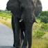 Hluhluwe Game Reserve Hluhluwe Game Reserve