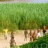 Port St. Johns Port St. Johns