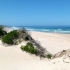 Oyster Bay Oyster Bay