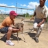 Ostrich Farm Ostrich Farm