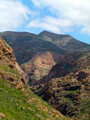 Little Karoo - Klein Karoo Little Karoo - Klein Karoo