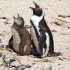 Simons Town