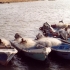 Jambeli