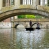 Bridge of Sighs - Cambridge Bridge of Sighs - Cambridge